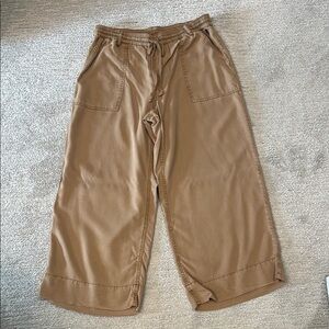 Westbound Tan Cargo Pants